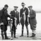 Pigeon voyageur cherche un Nid  en 1931